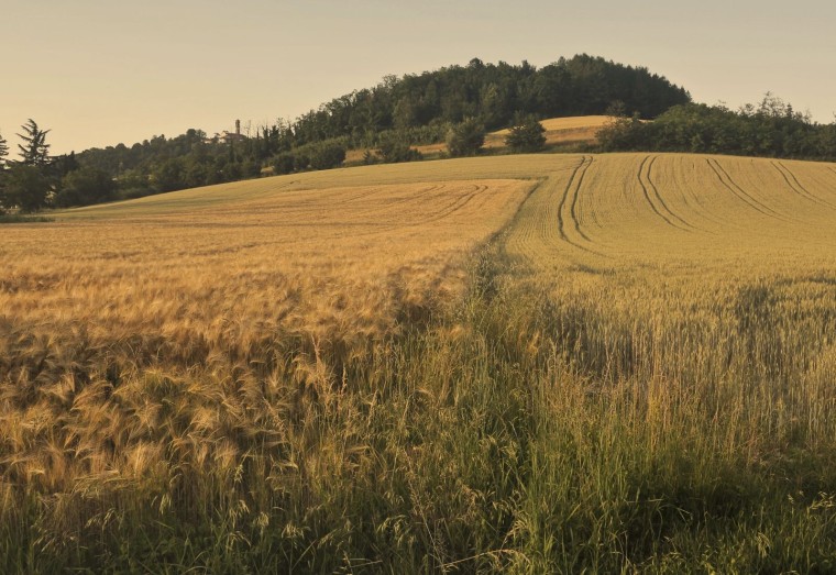 Lands