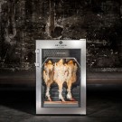 Armário de maturação de carnes DRY AGER DX 500 Premium