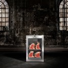 Armário de maturação de carnes DRY AGER DX 500 Premium