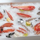 Expositor refrigerado para peixe Pegaso Fish