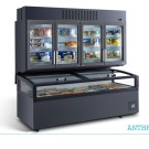 Expositor de congelação ARV 2.5